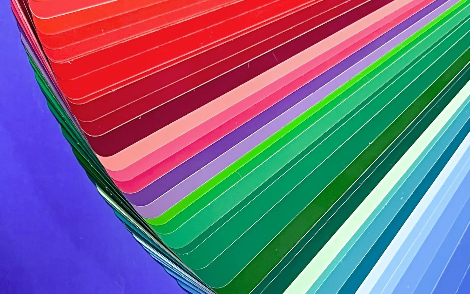 Charte graphique réseaux sociaux : un PDF figé ne tient pas en vidéo
