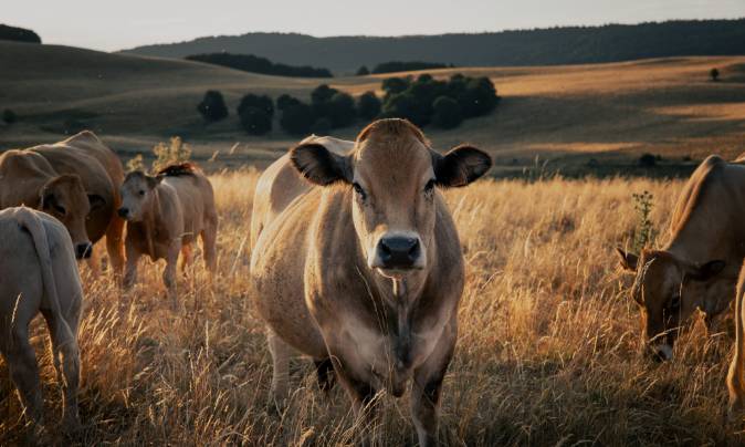 Photo de paysage prise par Folks