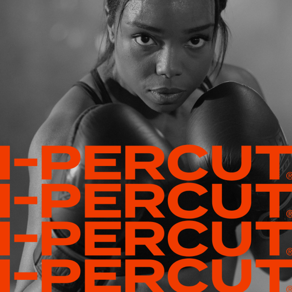 Illustration du projet i-Percut